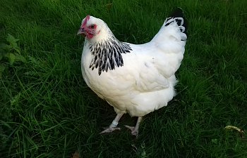 20171006_172729.jpg