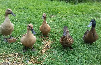 20170606_170111.jpg