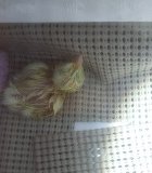 20180329_173058.jpg
