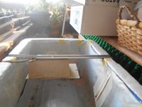 incubator etc 016.JPG