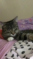IMG_1130.PNG IMG_1130.PNG