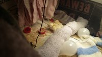 20180330_045455.jpg