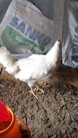 20180330_073718.jpg
