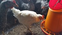 20180330_073846.jpg