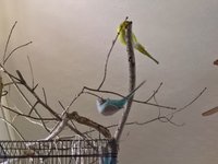 WP_20180330_18_12_23_Pro.jpg