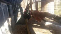 20180331_095053.jpg