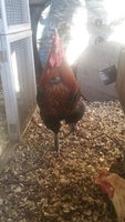 20180331_095233.jpg