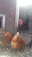 20180331_095320.jpg