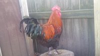20180331_095542.jpg