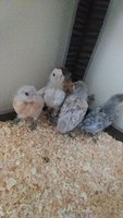 20180324_071734.jpg
