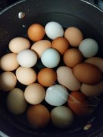 JPEG_20180331_120642_4466647150236876397.jpg