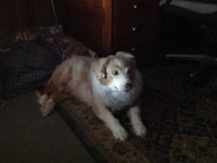 image.jpeg