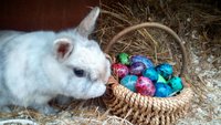 IMG-20180401-WA0000.jpg