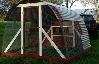 Ms Biddy's Cattle Panel Hoop Coop