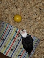 20180401_232705.jpg