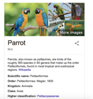 Screen Shot 2018-04-02 at 7.55.53 AM.png
