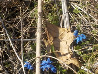DSCN0766.JPG