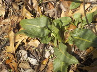 DSCN0767.JPG