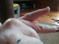 20180402_182134.jpg
