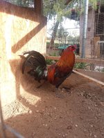 20180401_084743.jpg