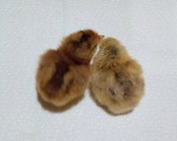 IMG_20180402_202312905~2.jpg