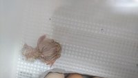 DSC_9445.JPG