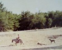 20180206_114632-1.jpg 20180206_114632-1.jpg