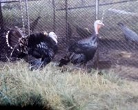20180206_113508-1.jpg 20180206_113508-1.jpg