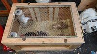 IMG_20180404_154004519.jpg