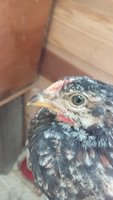 20180326_134213.jpg