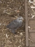 20180404_095213.jpg