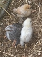20180404_095146.jpg