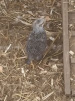 20180404_095210.jpg