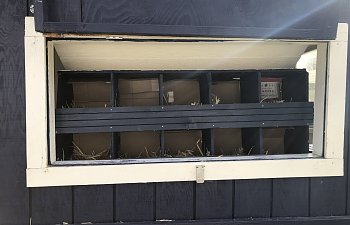 32545D27-0167-40EE-A903-64247120241A.jpeg