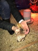 IMG_1867.jpg