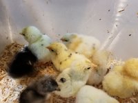 20180405_193757.jpg