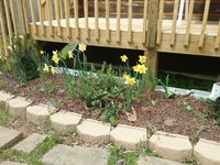 20180406_130849.jpg