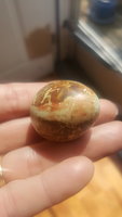 20180406_152610.jpg