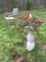 bird bath 4.2018.jpg