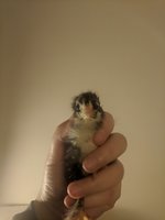 IMG_20180407_081833.jpg