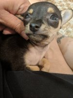 IMG_20180407_073638.jpg