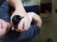 20180407_121351.jpg