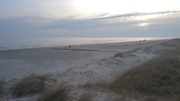 DSC_0739.JPG