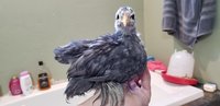 20180407_183259.jpg
