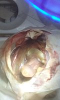 20180407_232708.jpg