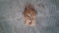20180405_084708.jpg