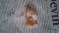 20180405_084721.jpg
