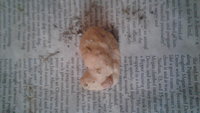 20180405_084737.jpg