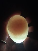 Duck Egg 2.jpg