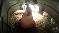 20180408_081447.jpg